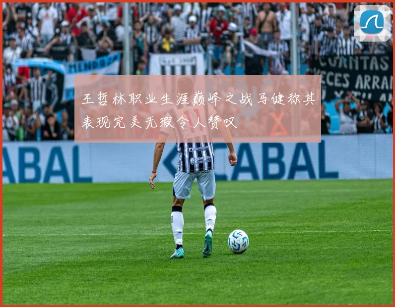王哲林职业生涯巅峰之战马健称其表现完美无瑕令人赞叹