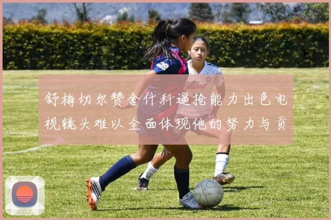 舒梅切尔赞舍什科逼抢能力出色电视镜头难以全面体现他的努力与贡献