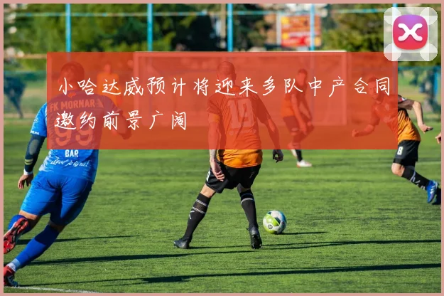小哈达威预计将迎来多队中产合同邀约前景广阔