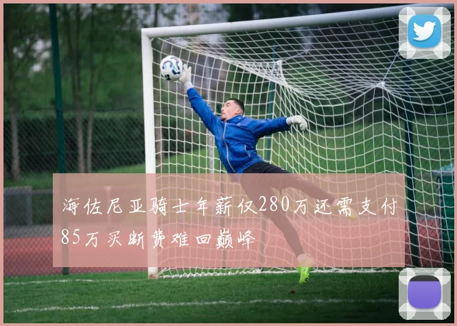 海佐尼亚骑士年薪仅280万还需支付85万买断费难回巅峰